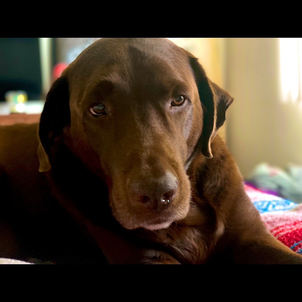 Meet your Posher, Julianne